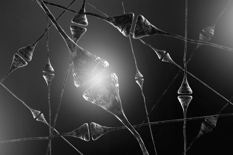 Brain Neurons Firing